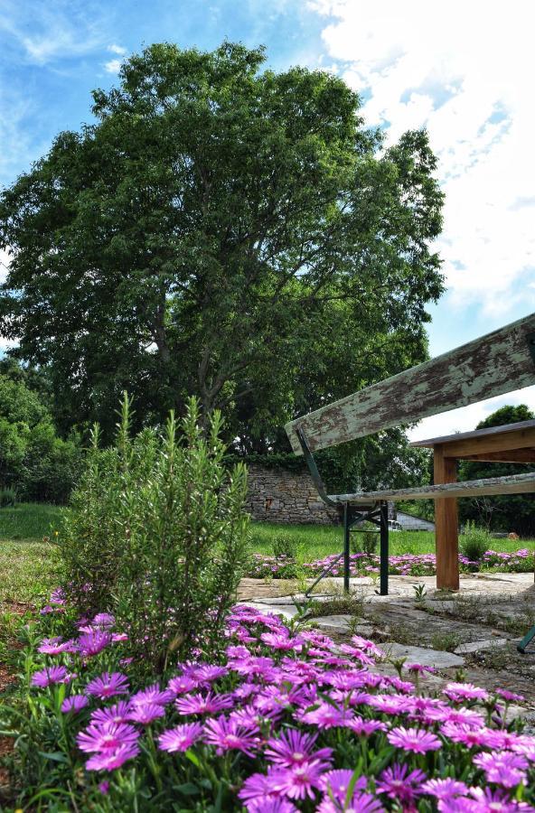 Cottage Al Merlo Olivo Buje Exteriör bild